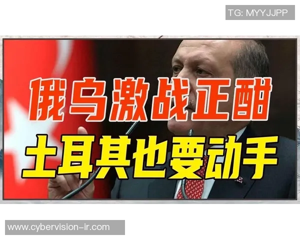 土耳其与瑞典激战正酣比赛结果揭晓引发热议