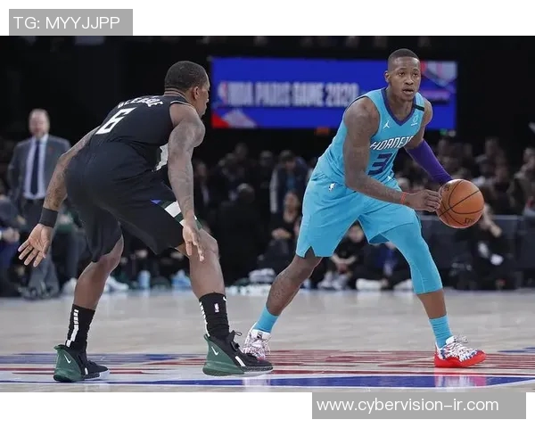 特里罗齐尔的篮球之路从新秀到明星的蜕变与成长历程