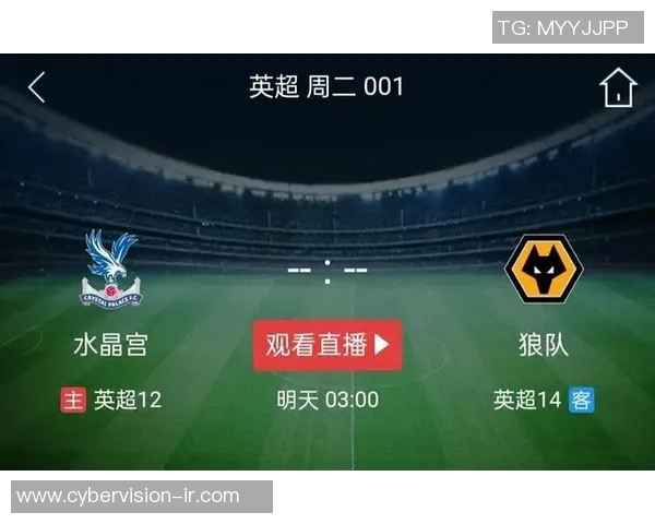 狼队与水晶宫的历史交锋回顾及战绩分析