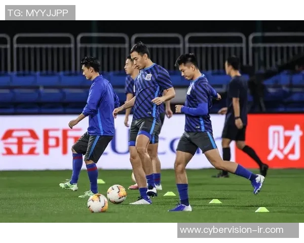 苏宁与申花激战全场精彩录像回顾与赛后分析