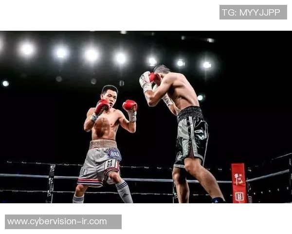 邹市明与木村激战视频回顾见证拳坛传奇对决的精彩瞬间