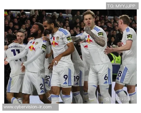 利兹联与布莱顿历史交锋战绩分析及球队发展回顾