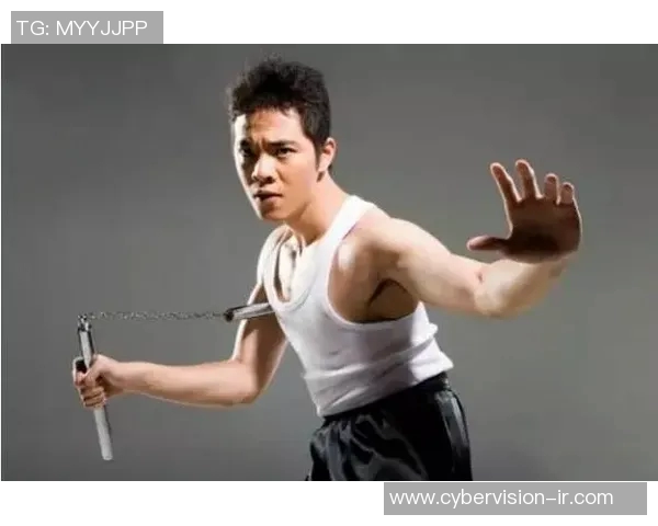 徐小东太极与格斗对决视频解析引发热议的武术真相探讨