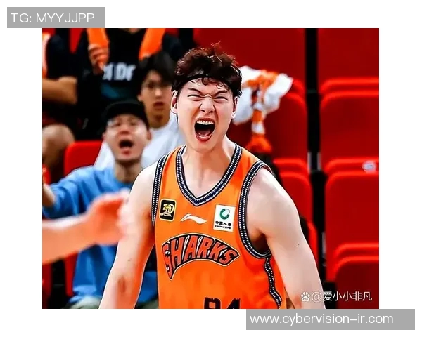 王哲林在CBA赛场的崛起与未来发展潜力分析